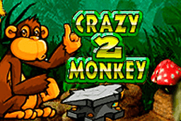 img-Crazy Monkey 2