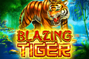 img-Blazing Tiger